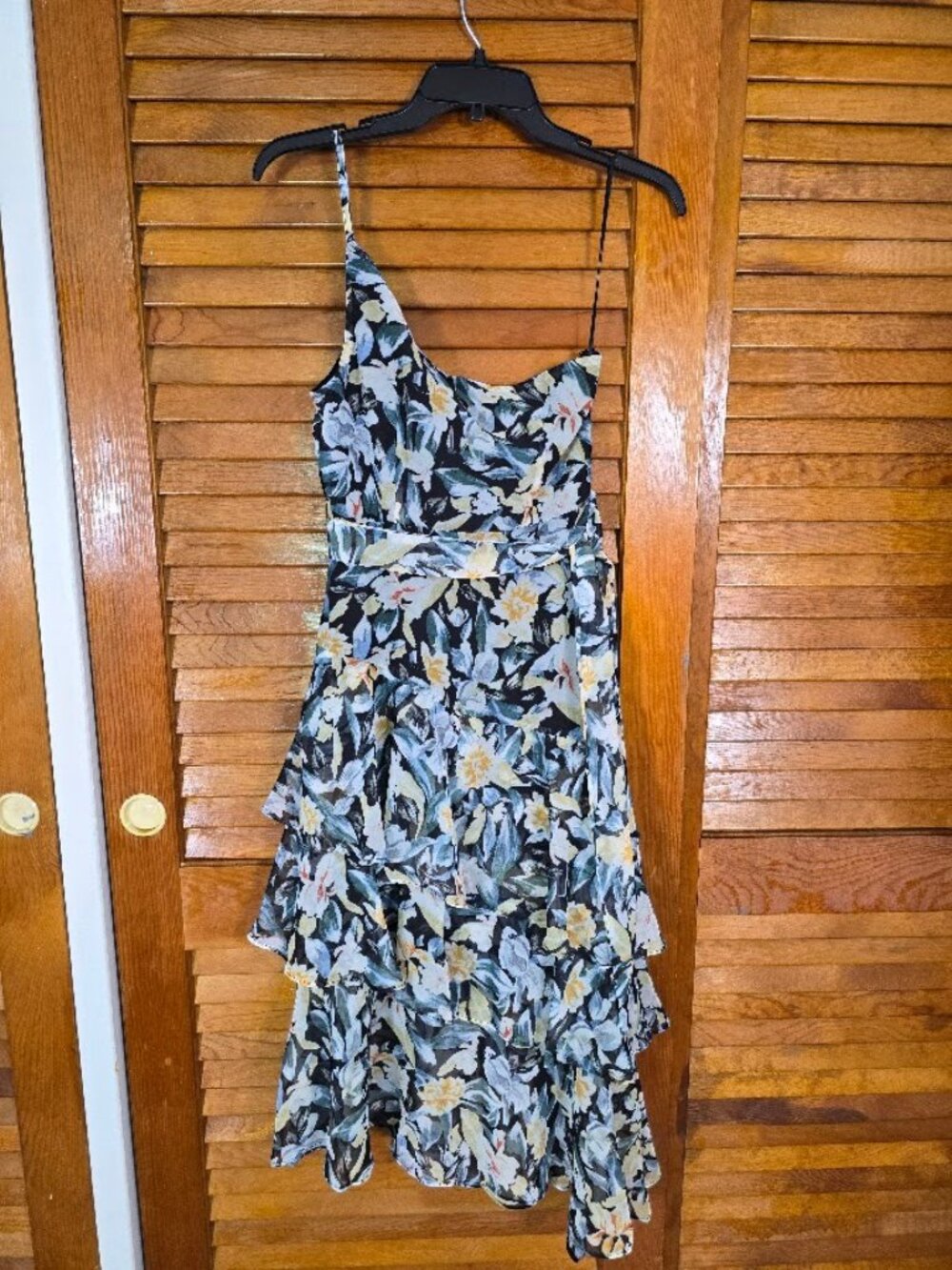 Amren One Shoulder Floral Midi Dress NWT Size 2 Petal & Pup - Picture 13 of 16